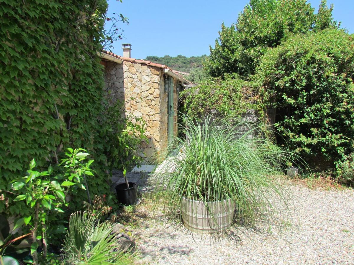 chambre d’hôtes des oliviers La Roque-sur-Cèze Exterior foto